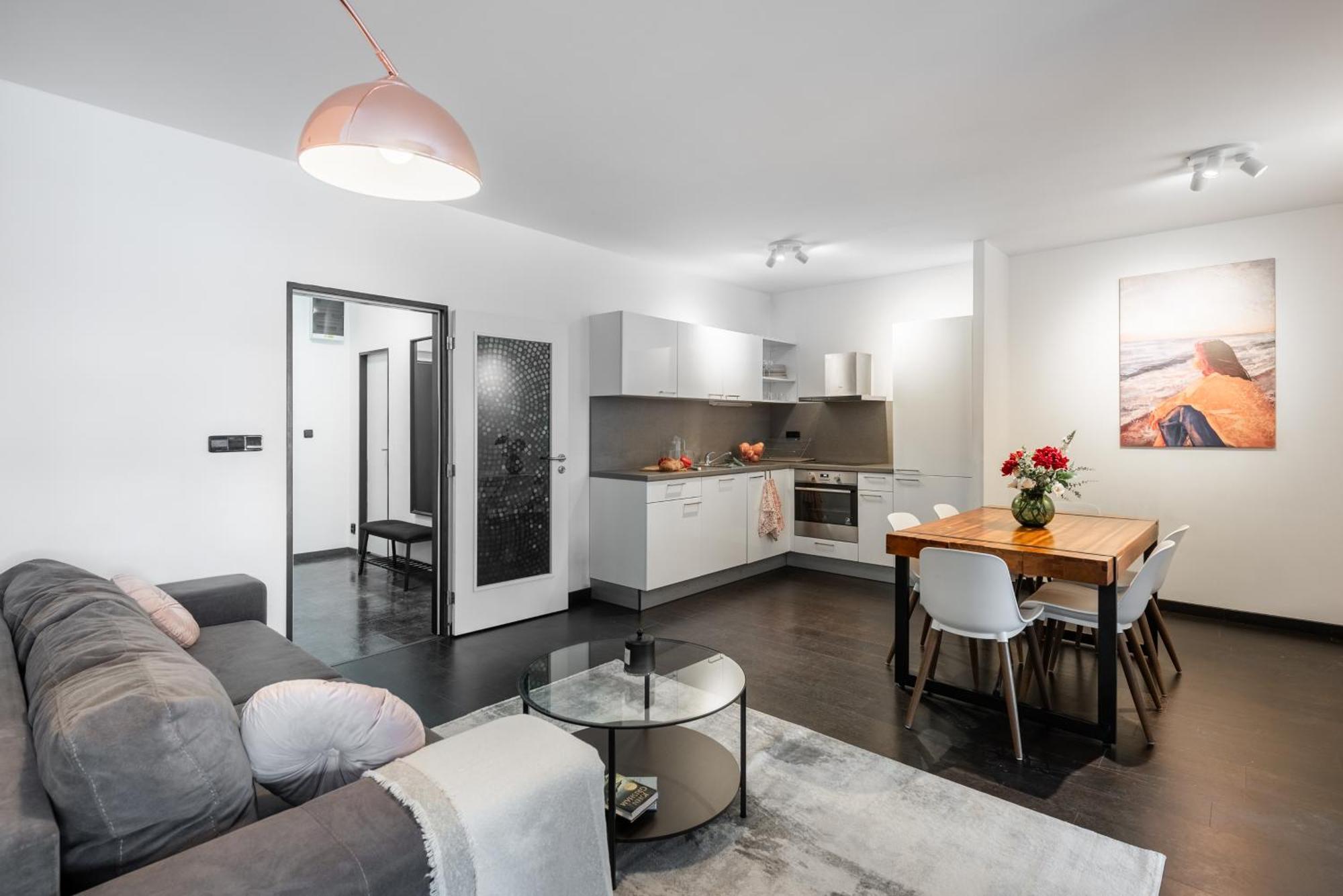 Lejlighed Spacious Near Karlin Square Prag